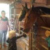 Woman with Cancer and horses, therapy, and equine assisted, child